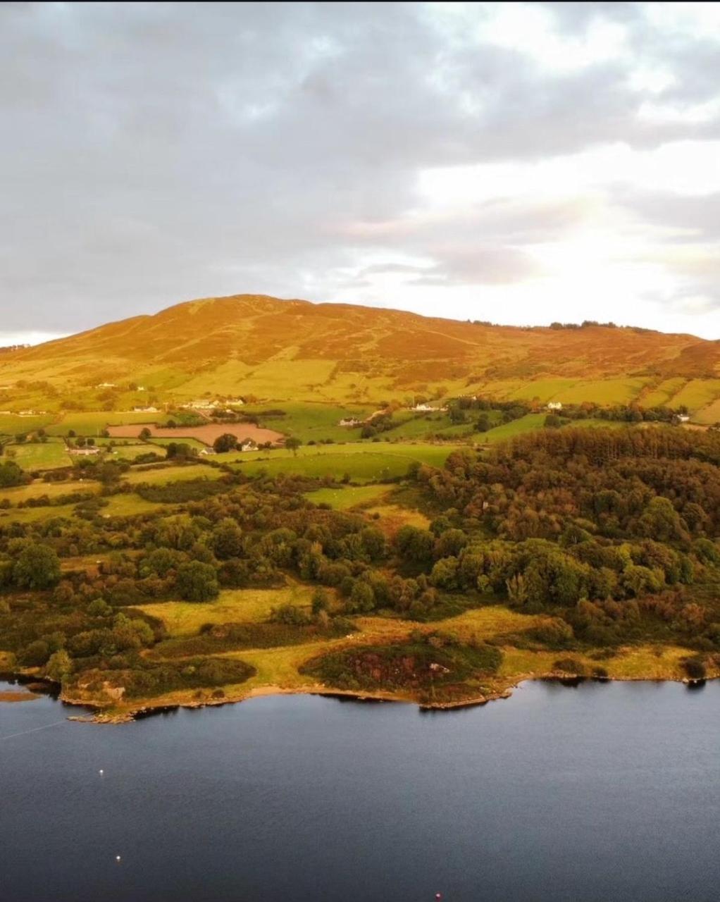 The Nest Hotell Newry Eksteriør bilde